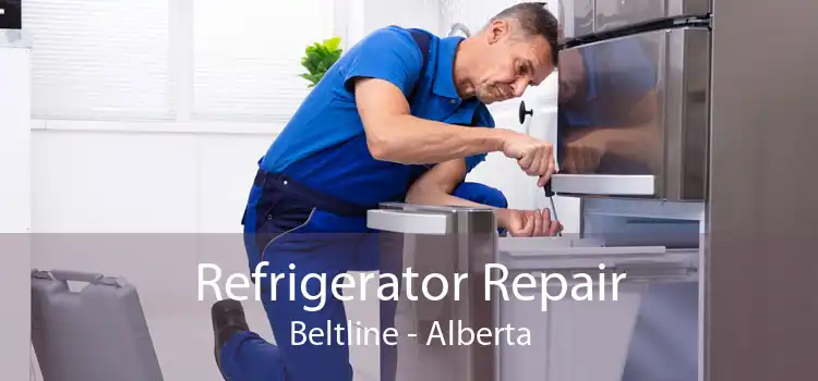 Refrigerator Repair Beltline - Alberta