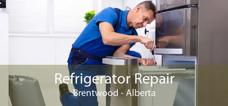 Refrigerator Repair Brentwood - Alberta