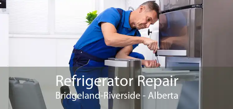 Refrigerator Repair Bridgeland-Riverside - Alberta
