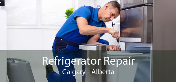 Refrigerator Repair Calgary - Alberta