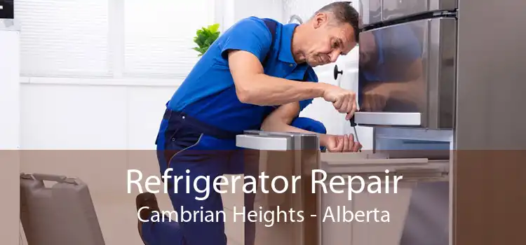 Refrigerator Repair Cambrian Heights - Alberta