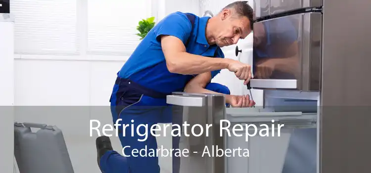 Refrigerator Repair Cedarbrae - Alberta