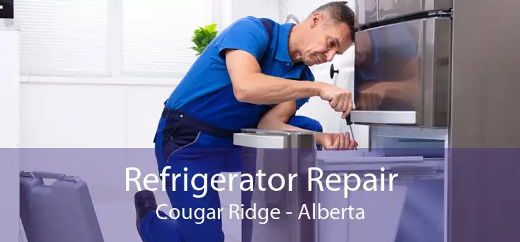 Refrigerator Repair Cougar Ridge - Alberta