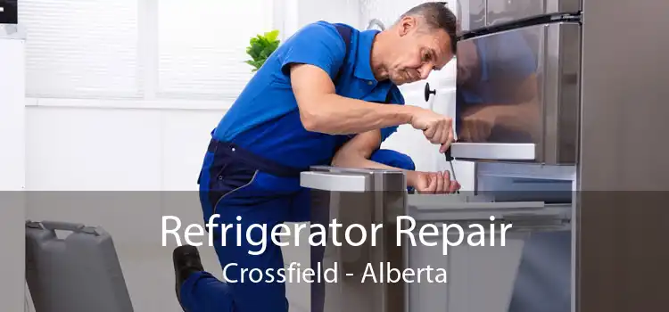 Refrigerator Repair Crossfield - Alberta