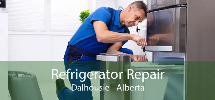 Refrigerator Repair Dalhousie - Alberta