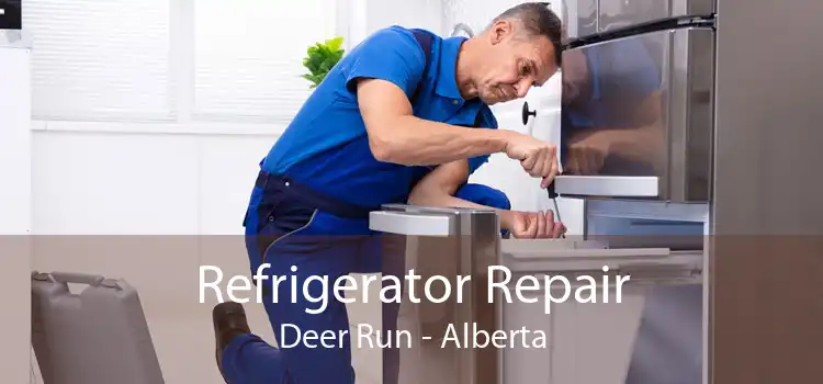 Refrigerator Repair Deer Run - Alberta