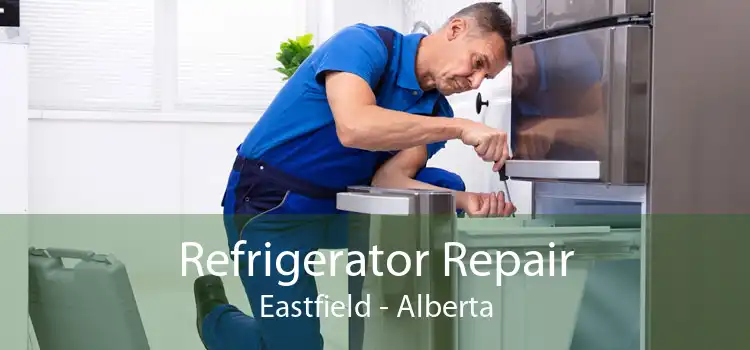 Refrigerator Repair Eastfield - Alberta