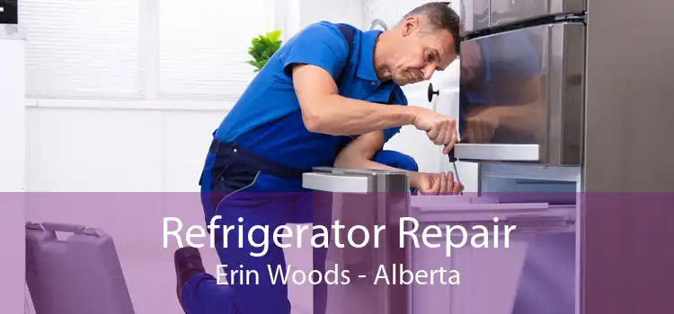Refrigerator Repair Erin Woods - Alberta