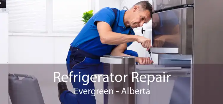 Refrigerator Repair Evergreen - Alberta