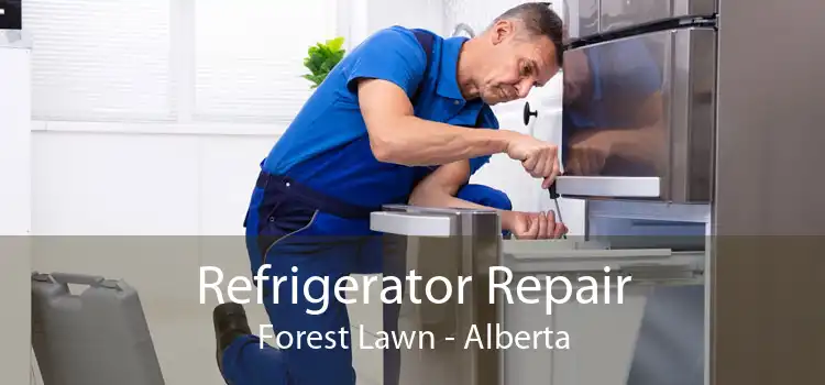 Refrigerator Repair Forest Lawn - Alberta