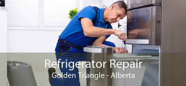 Refrigerator Repair Golden Triangle - Alberta
