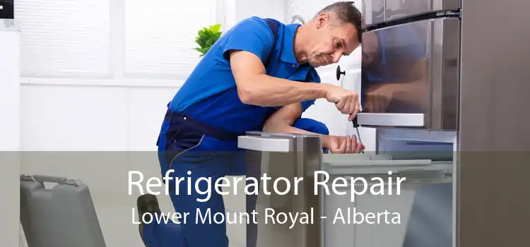 Refrigerator Repair Lower Mount Royal - Alberta