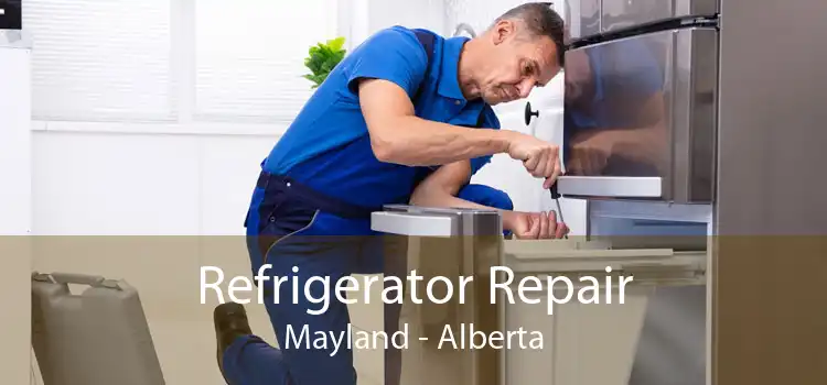 Refrigerator Repair Mayland - Alberta