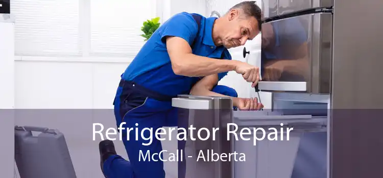 Refrigerator Repair McCall - Alberta