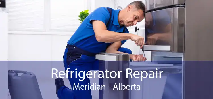 Refrigerator Repair Meridian - Alberta
