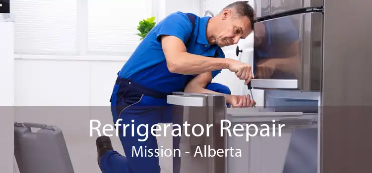 Refrigerator Repair Mission - Alberta