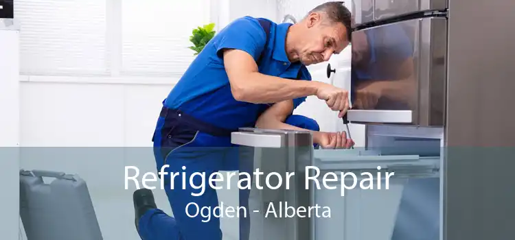 Refrigerator Repair Ogden - Alberta