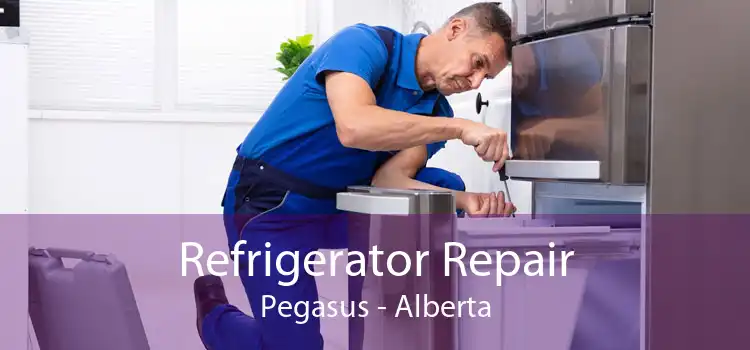 Refrigerator Repair Pegasus - Alberta