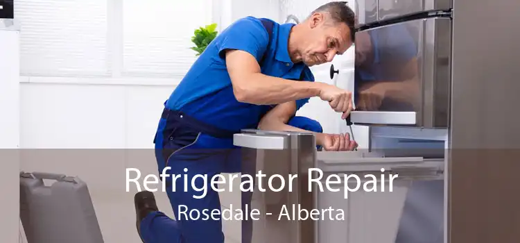 Refrigerator Repair Rosedale - Alberta