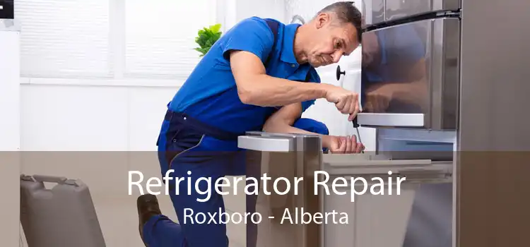 Refrigerator Repair Roxboro - Alberta