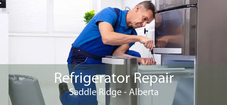 Refrigerator Repair Saddle Ridge - Alberta