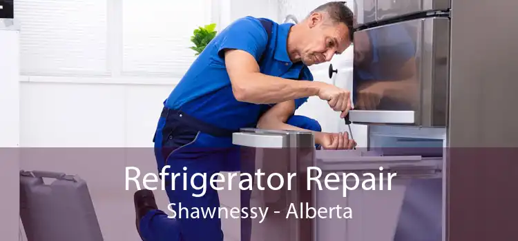Refrigerator Repair Shawnessy - Alberta