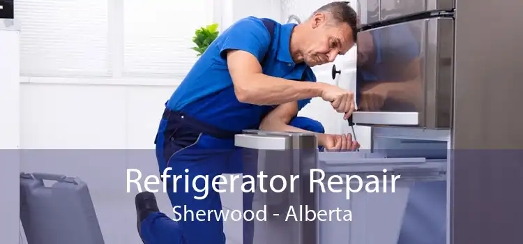 Refrigerator Repair Sherwood - Alberta