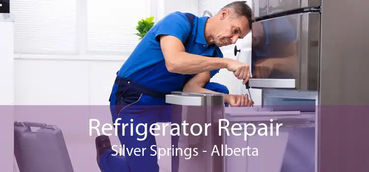 Refrigerator Repair Silver Springs - Alberta