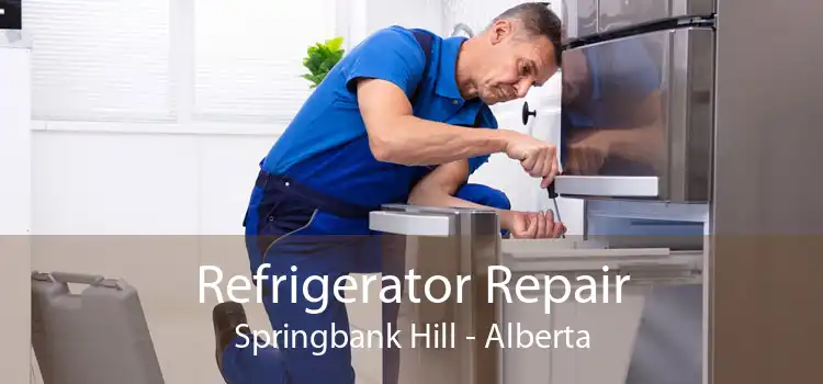 Refrigerator Repair Springbank Hill - Alberta