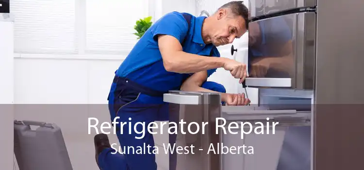 Refrigerator Repair Sunalta West - Alberta