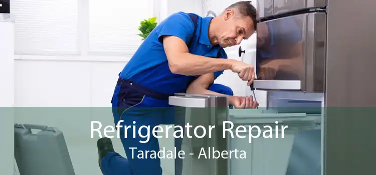 Refrigerator Repair Taradale - Alberta