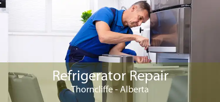 Refrigerator Repair Thorncliffe - Alberta