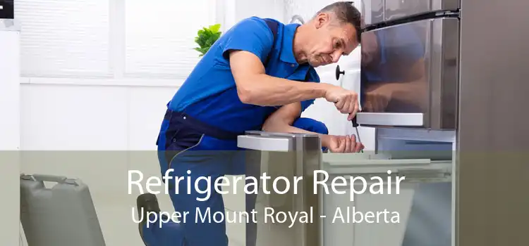Refrigerator Repair Upper Mount Royal - Alberta