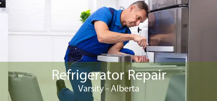 Refrigerator Repair Varsity - Alberta