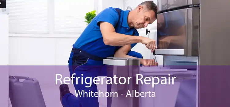 Refrigerator Repair Whitehorn - Alberta