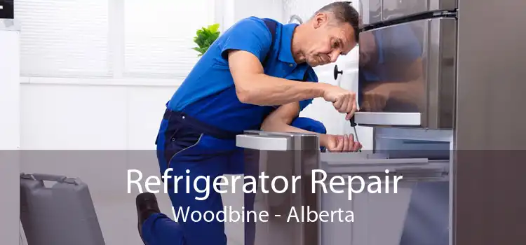 Refrigerator Repair Woodbine - Alberta