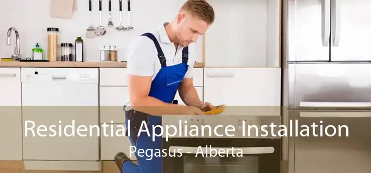 Residential Appliance Installation Pegasus - Alberta