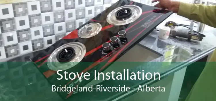 Stove Installation Bridgeland-Riverside - Alberta