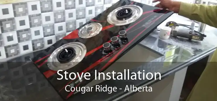 Stove Installation Cougar Ridge - Alberta