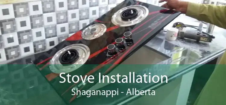 Stove Installation Shaganappi - Alberta
