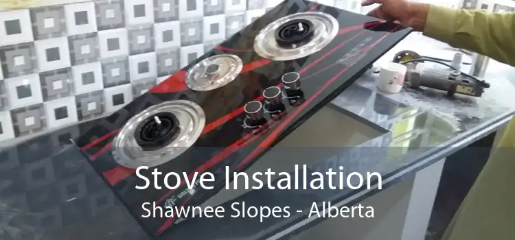 Stove Installation Shawnee Slopes - Alberta