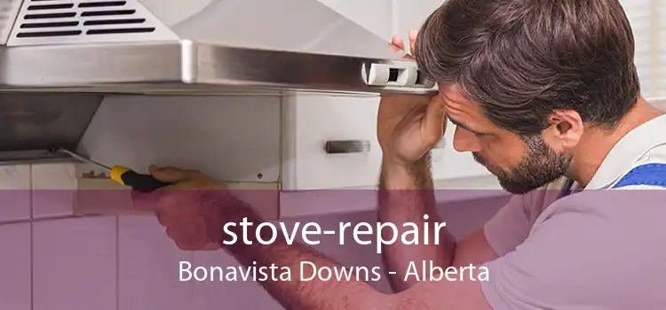 stove-repair Bonavista Downs - Alberta
