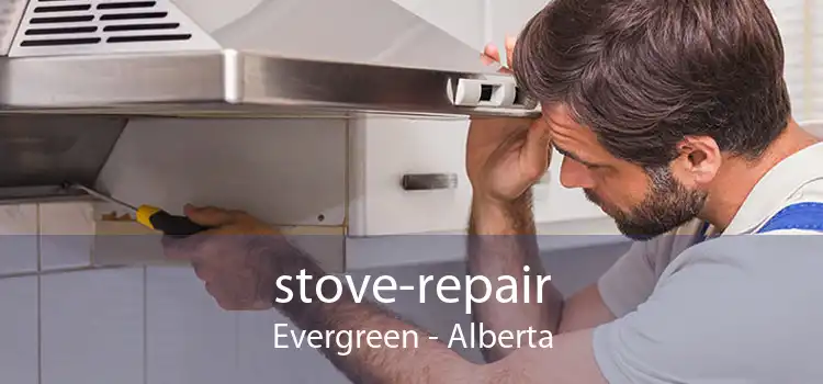 stove-repair Evergreen - Alberta