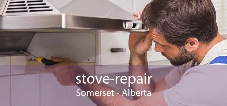 stove-repair Somerset - Alberta