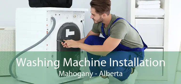 Washing Machine Installation Mahogany - Alberta
