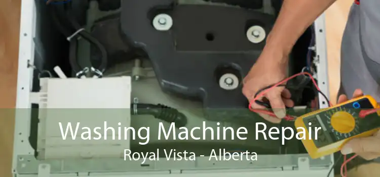 Washing Machine Repair Royal Vista - Alberta