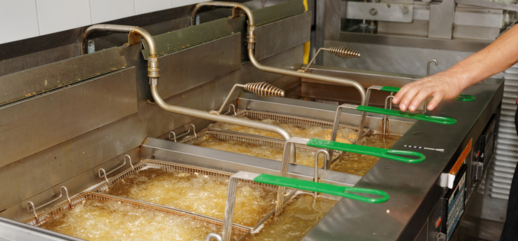 Cafe Commercial Fryer Repair in Calgary